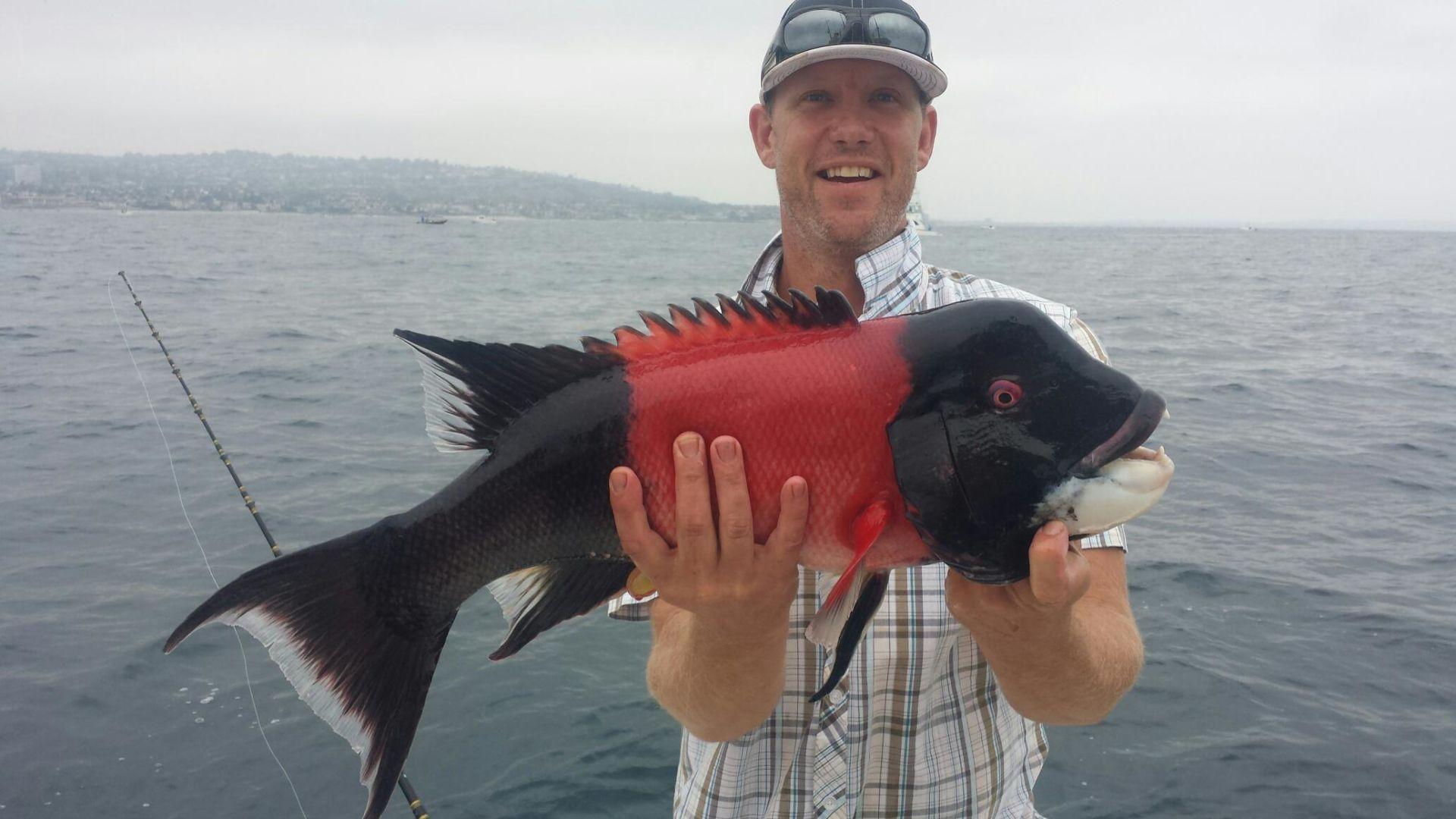 Fishing Report For April 13 Sports Bakersfield Com