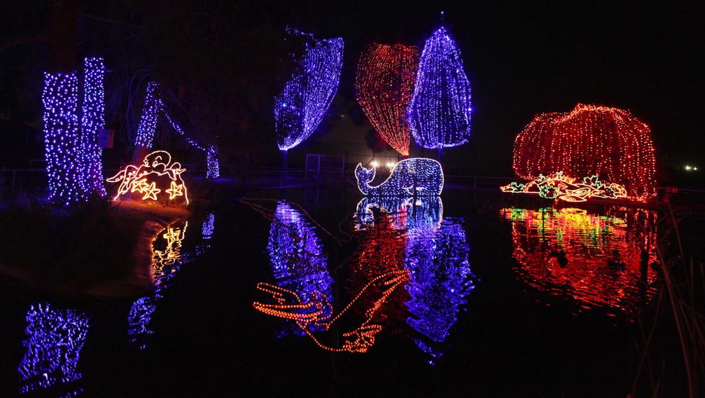 Holiday Lights At Calm 2022