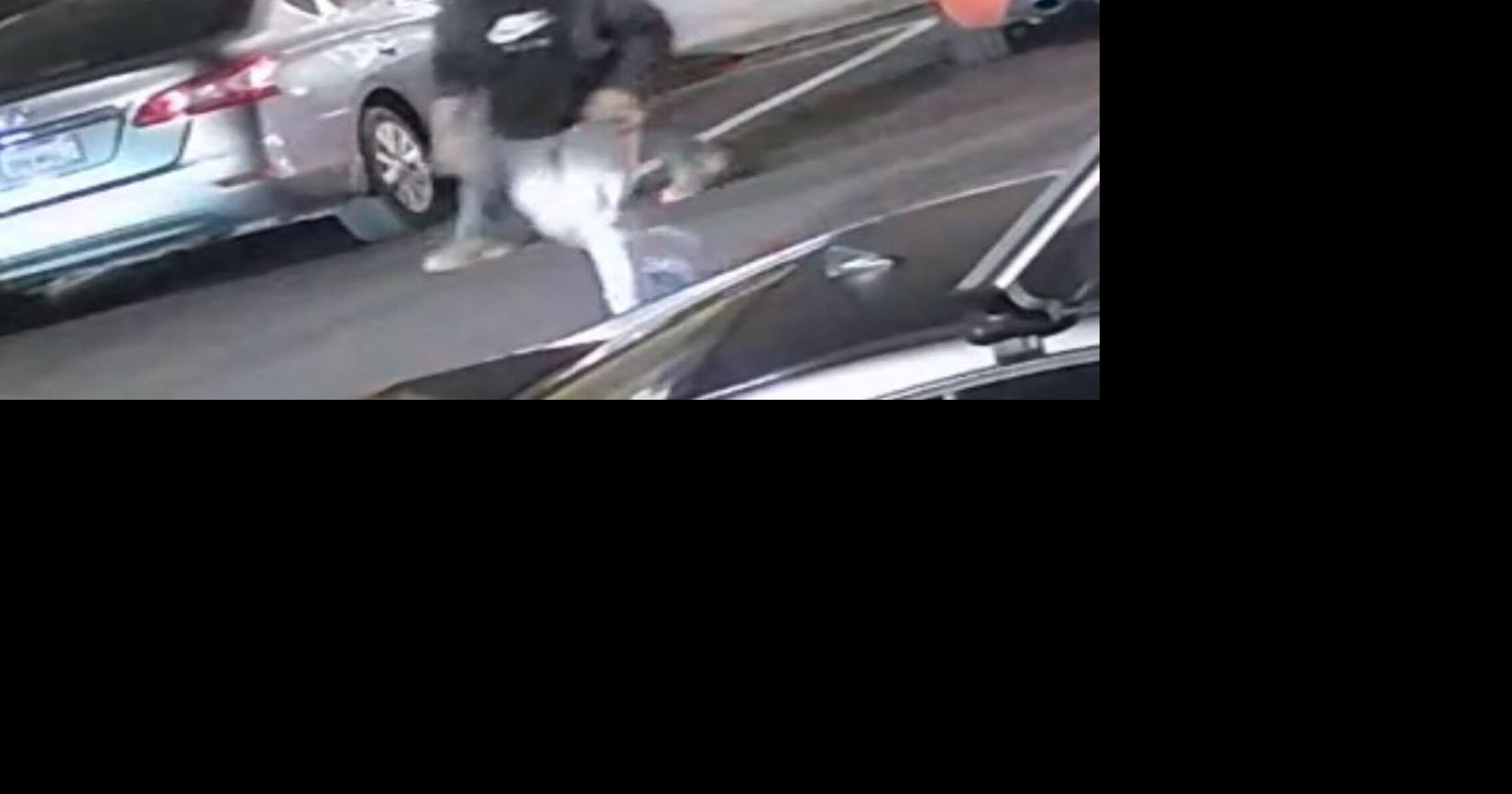 BPD searching for two suspects accused of assault in downtown