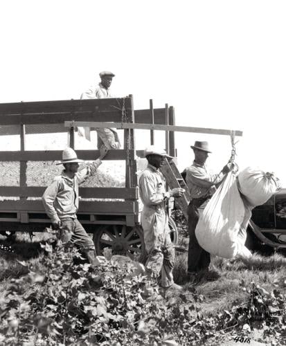 Bulletin. Agriculture -- Ontario. even into the most difficult