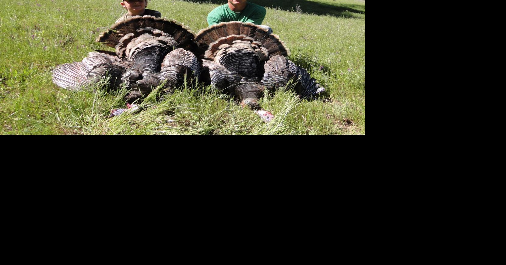 Outdoors notes Hunting licenses, big game drawing applications