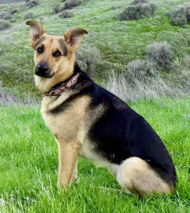 news image for title