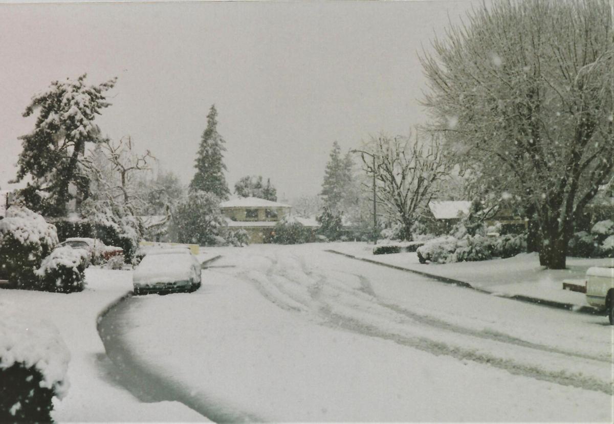 PHOTO GALLERY Looking back at Bakersfield's snow day Multimedia