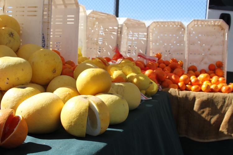 Finding the best of fresh groceries at farmers markets Bakersfield