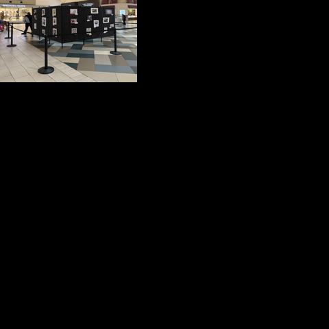 Student art on display at Valley Plaza Mall | Arts & Theater