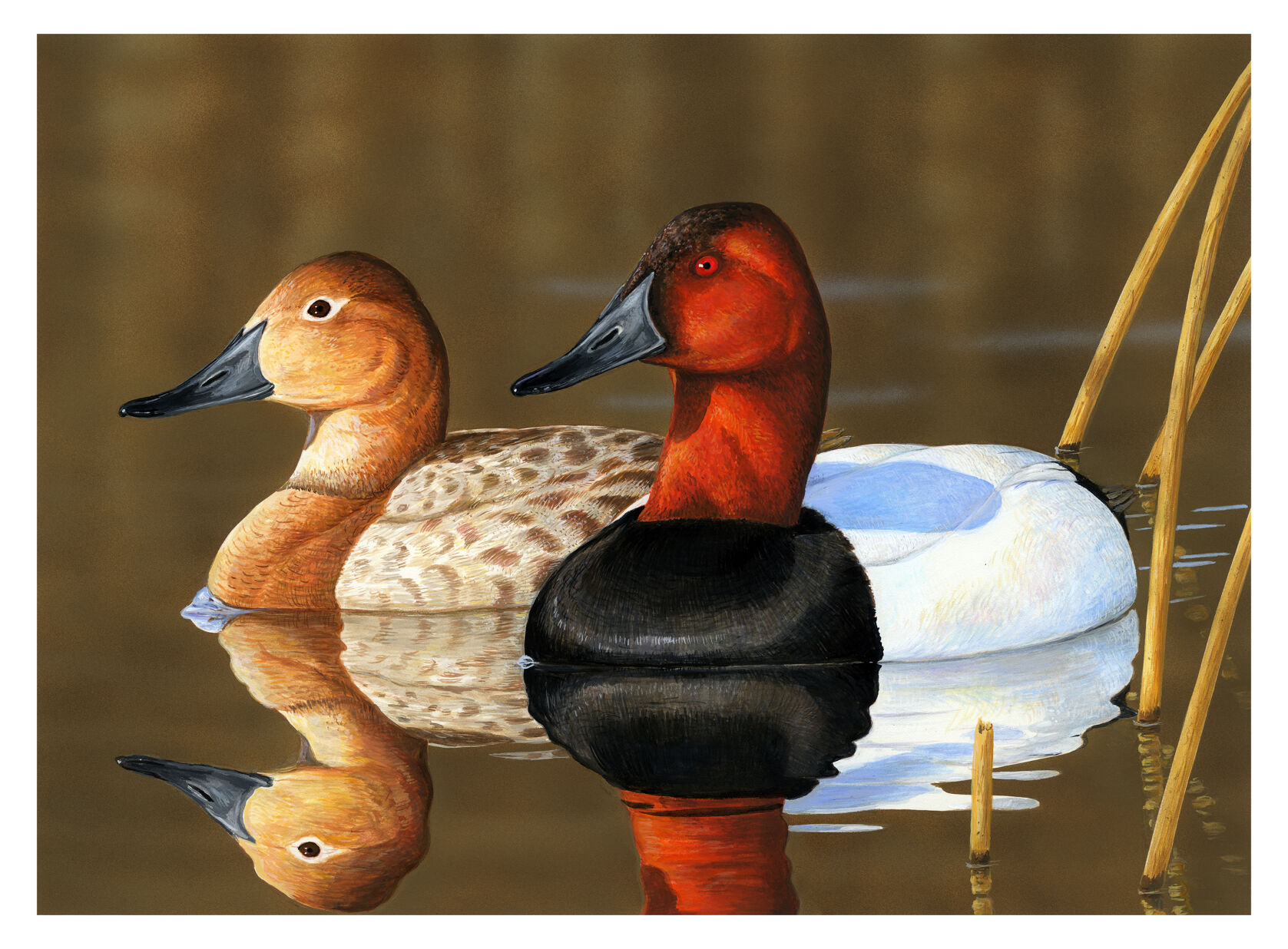 One artist will be a lucky duck with state stamp contest Arts