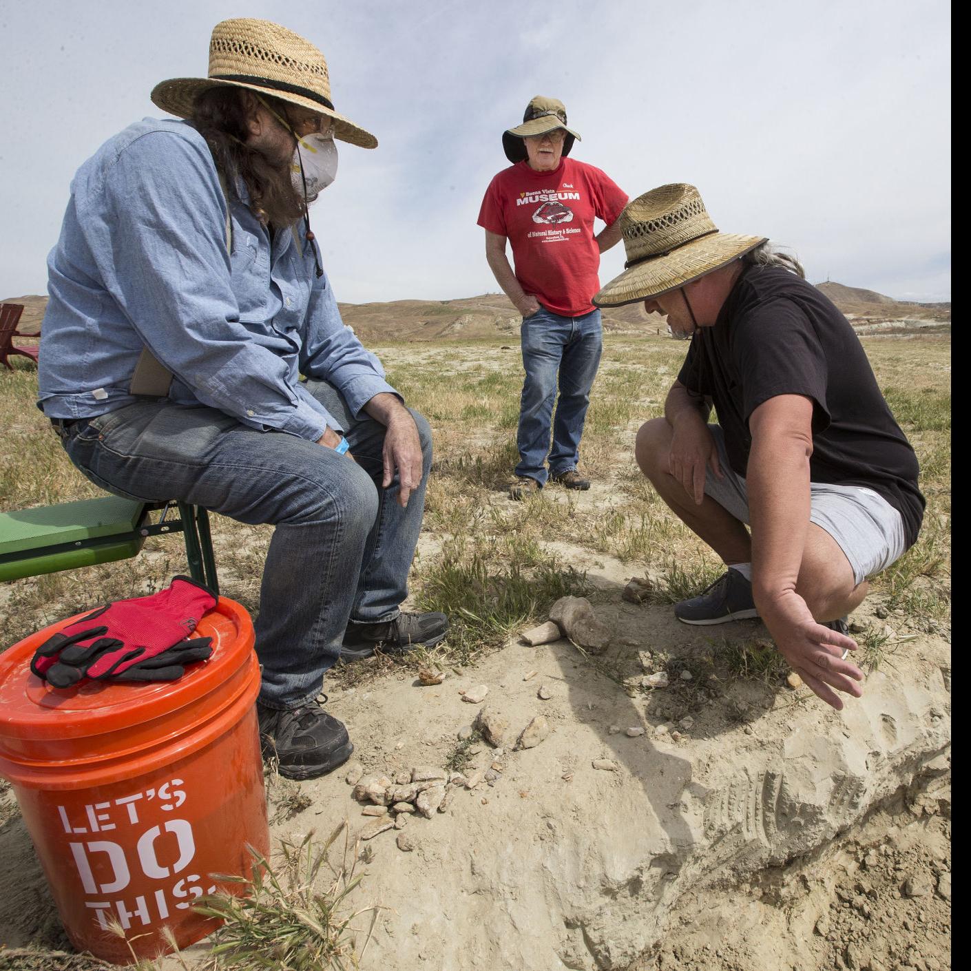 Shark Tooth Hunters Really Want To Meet Meg News Bakersfield Com