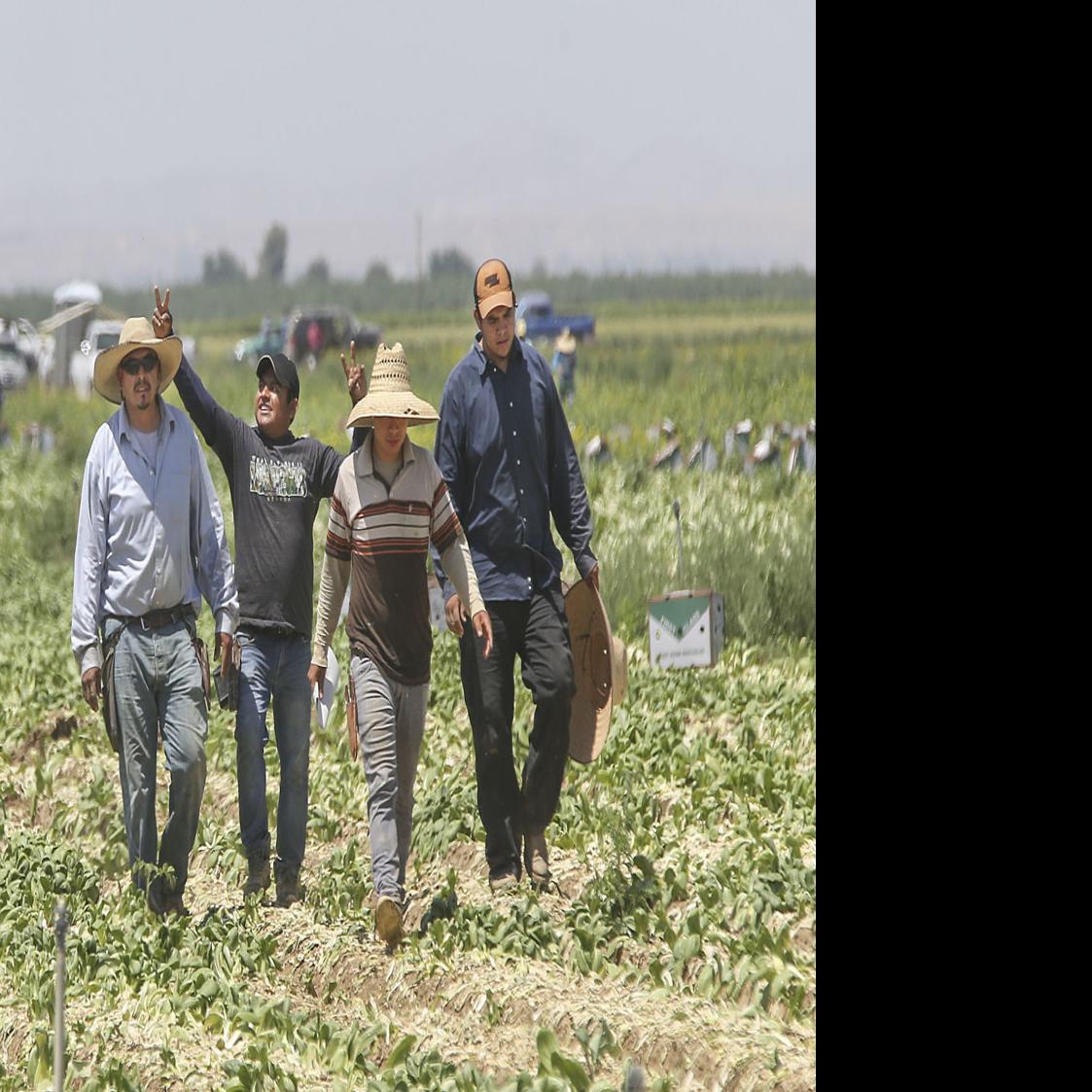 Kern S Jobless Rate Rose To 10 1 In March News Bakersfield Com