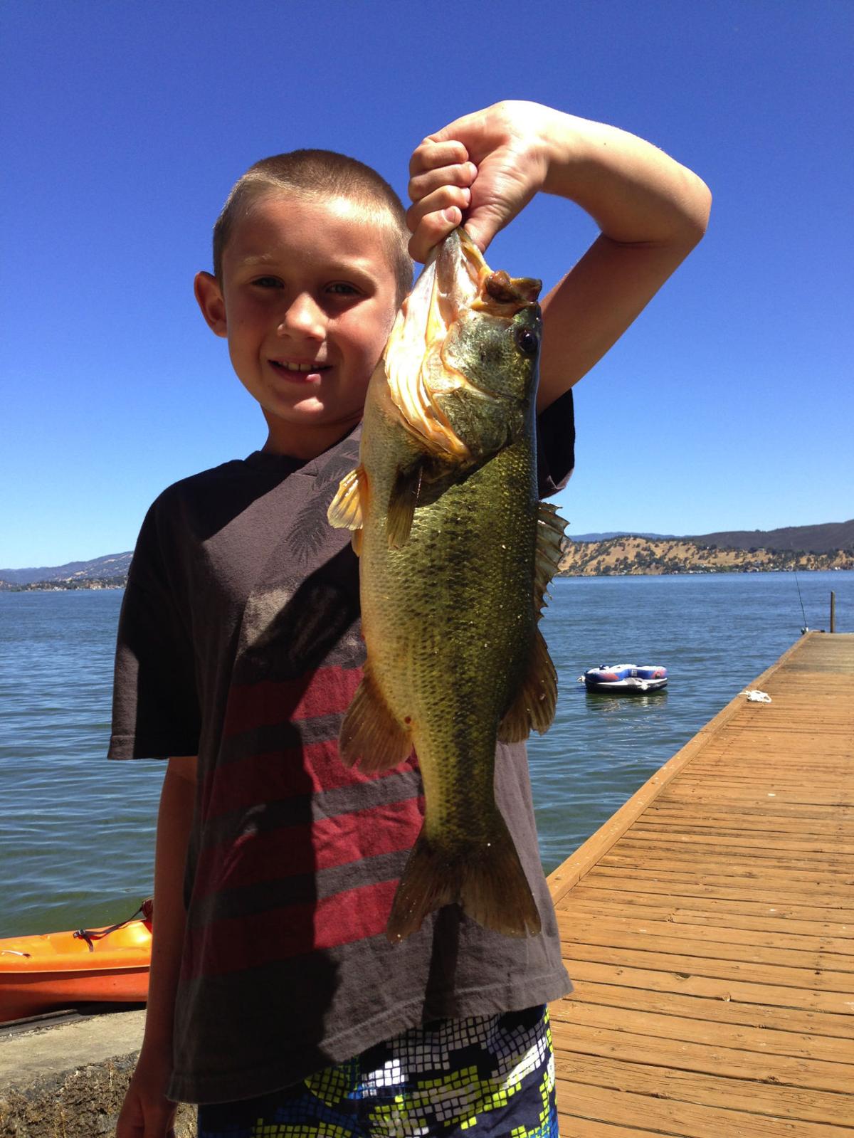 Bakersfield Ca Fishing Report - All About Fishing