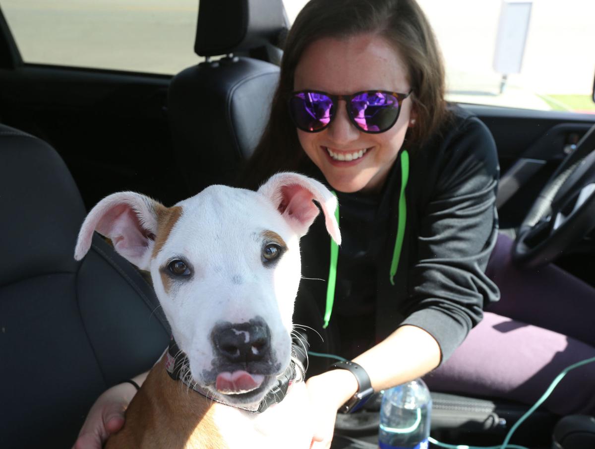 County animal shelter 'floored' by response to foster drivethru News