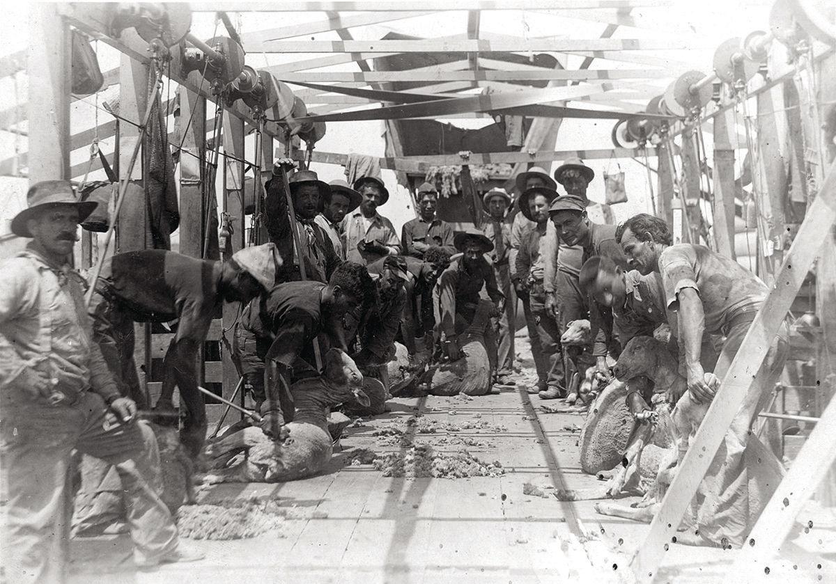 The Land Keeps Us Rooted How Ag Became A Way Of Life Here - 