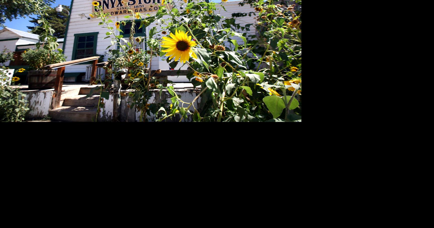 Sunday could be last day for Onyx Store, which has outlived its owners