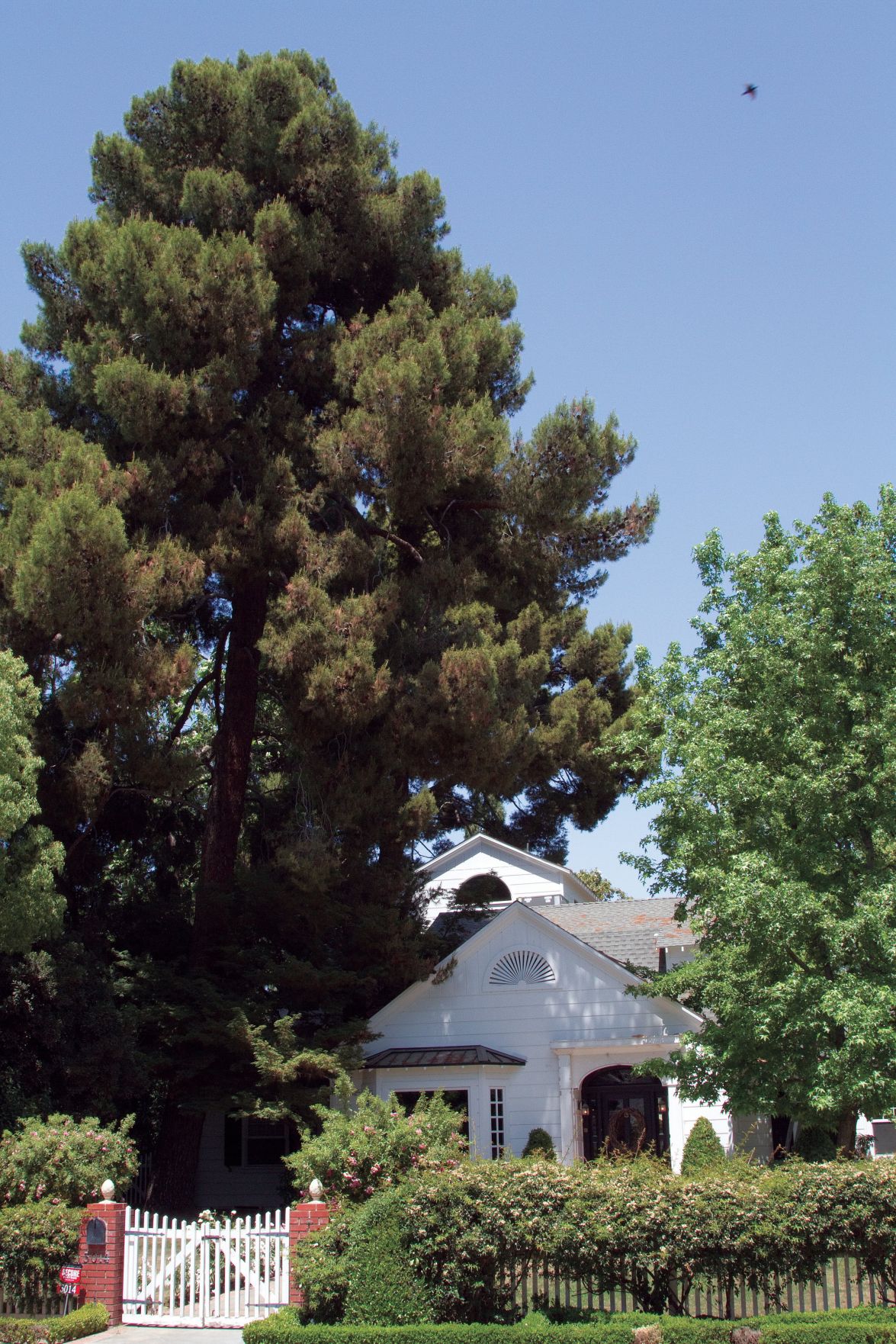 Neighborhood Spotlight Westchester