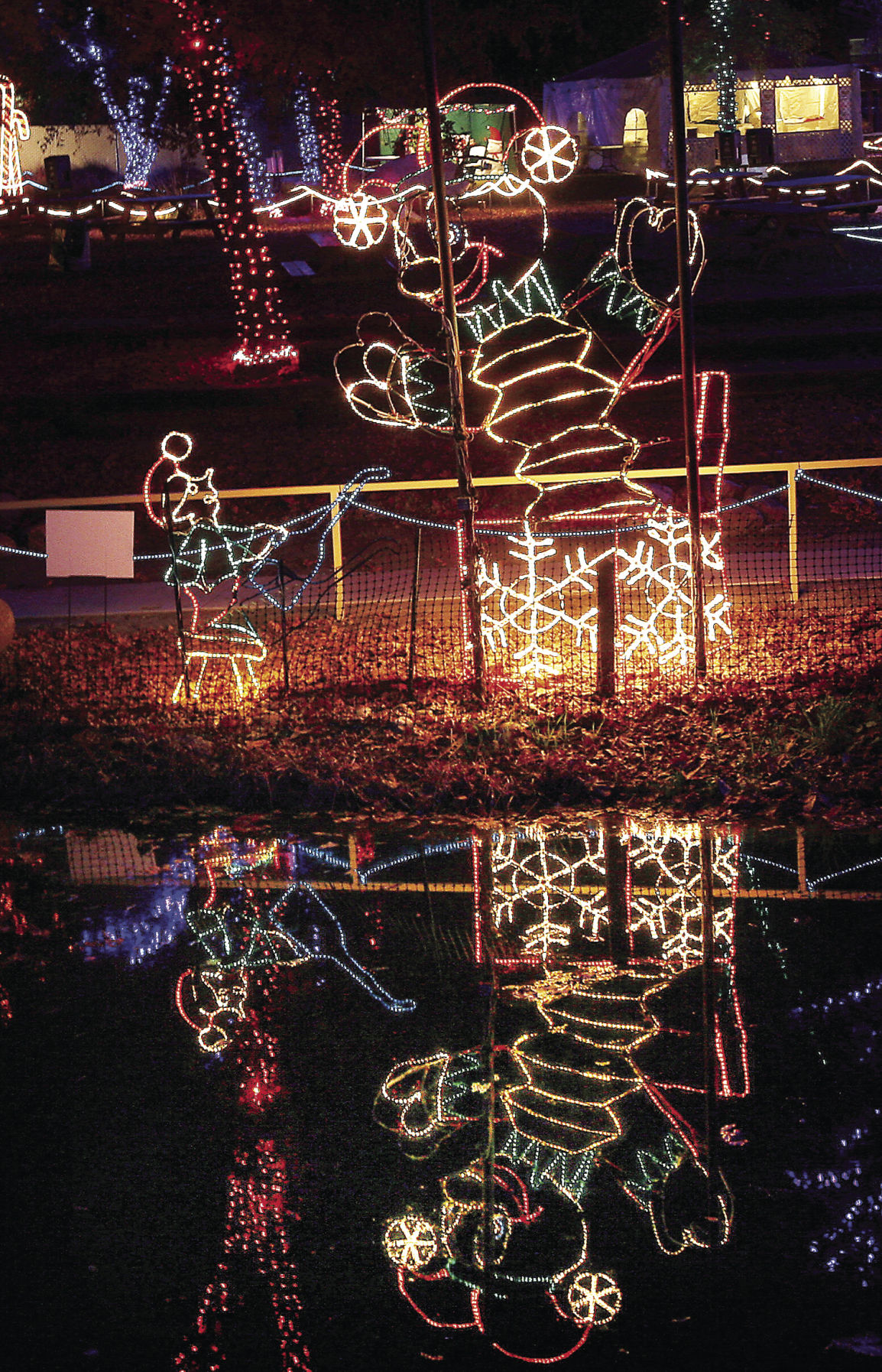 Let there be Lights Annual holiday display returns to CALM Let there be Lights Annual holiday display returns to CALM