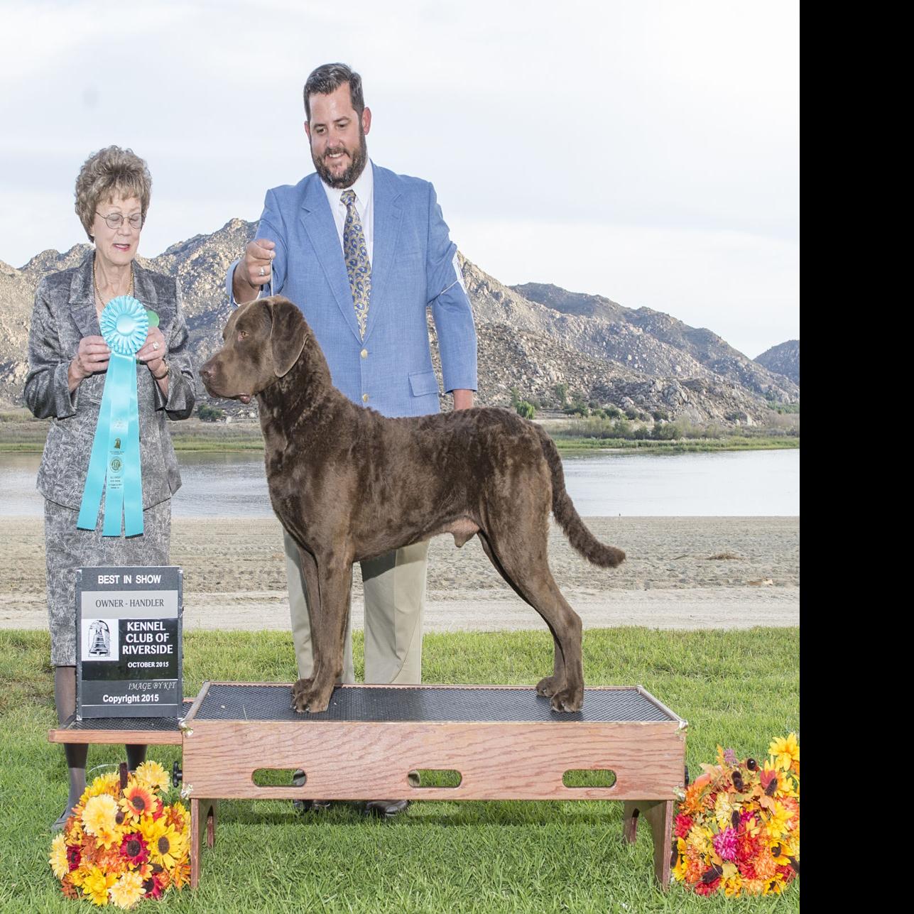 Bakersfield Duo Show At Westminster Dog Show Entertainment