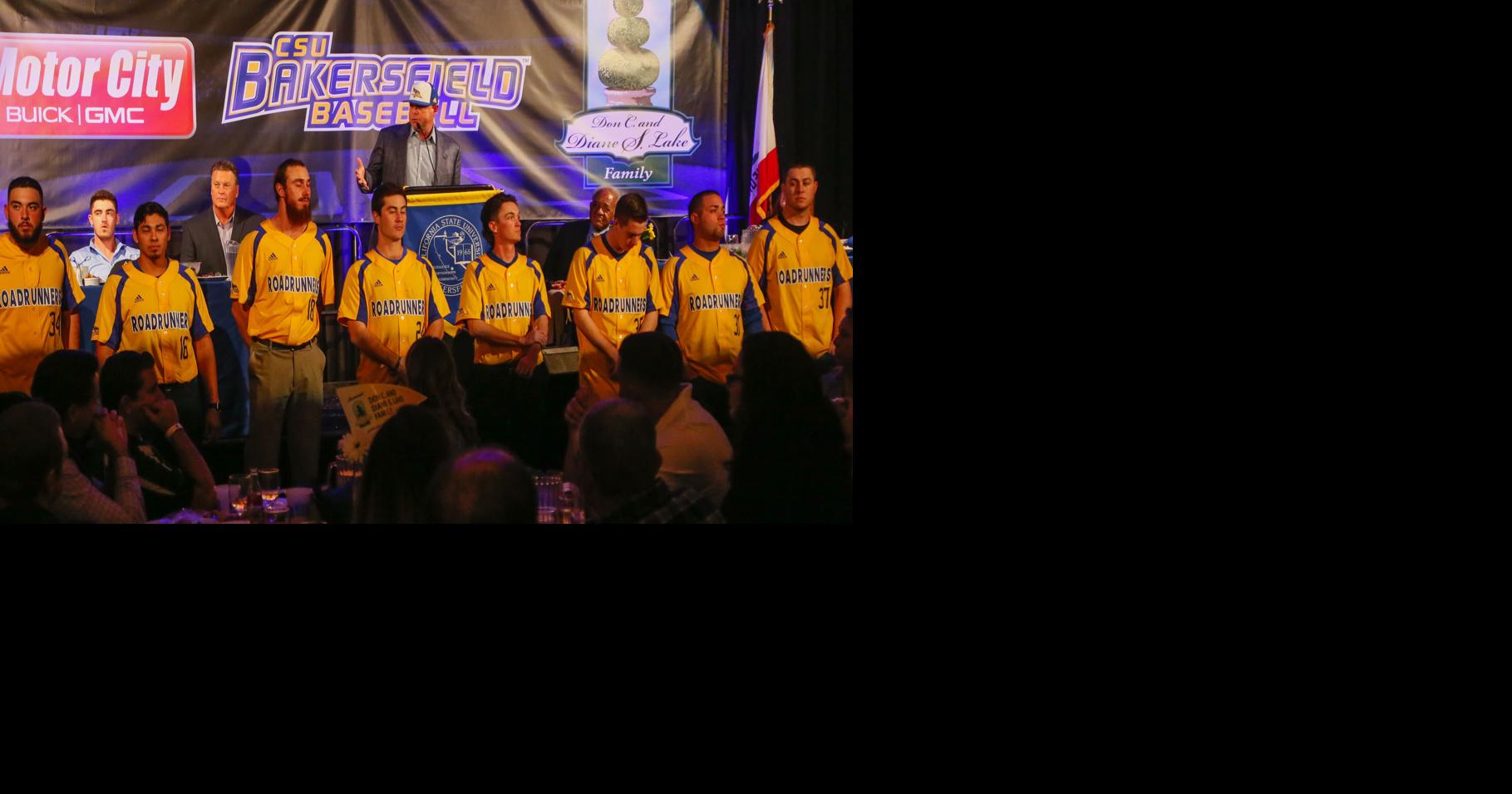 Youth, new players abound for CSUB baseball heading into 2018 season ...