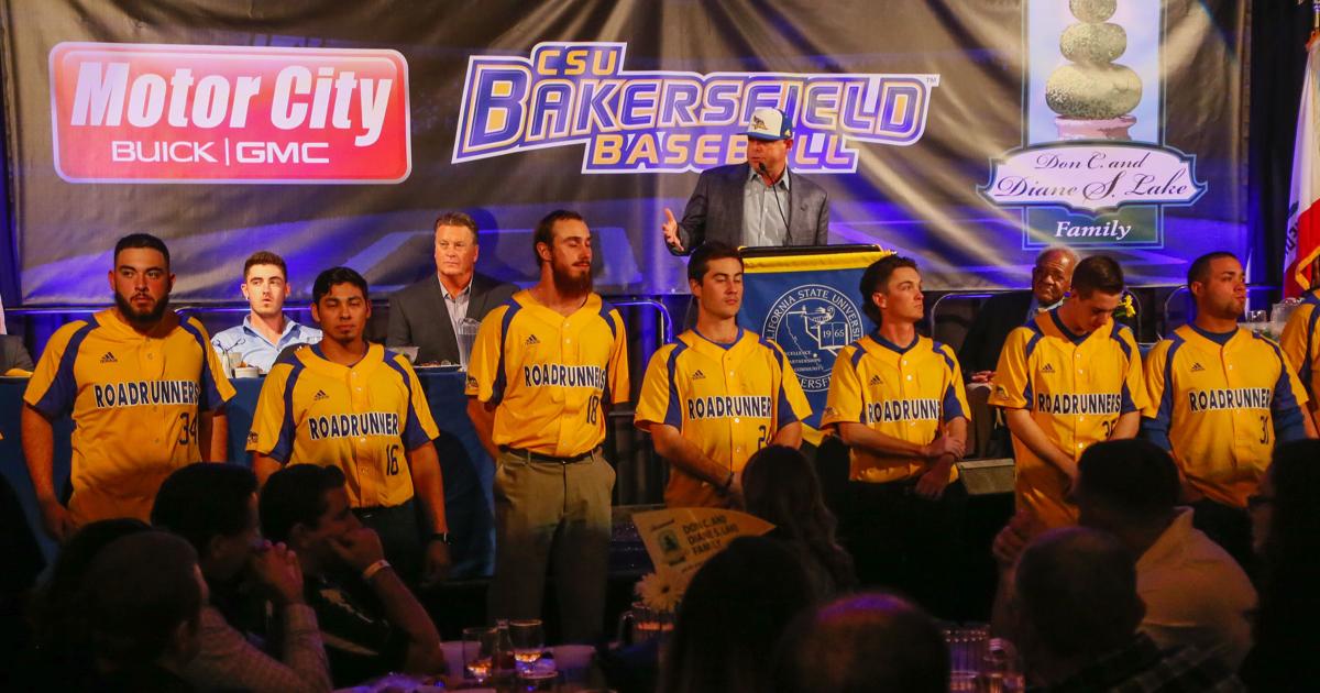 Youth, new players abound for CSUB baseball heading into 2018 season ...