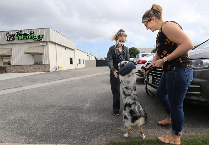 Veterinarians move to curbside service to adhere to social distancing precautions The Delano