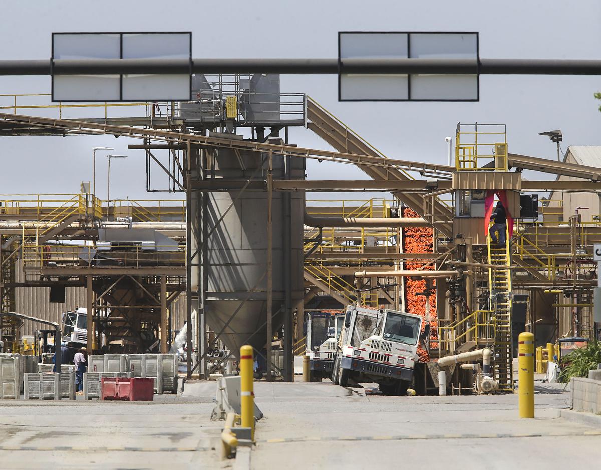 Cancercausing chemical found in Grimmway Farms water News