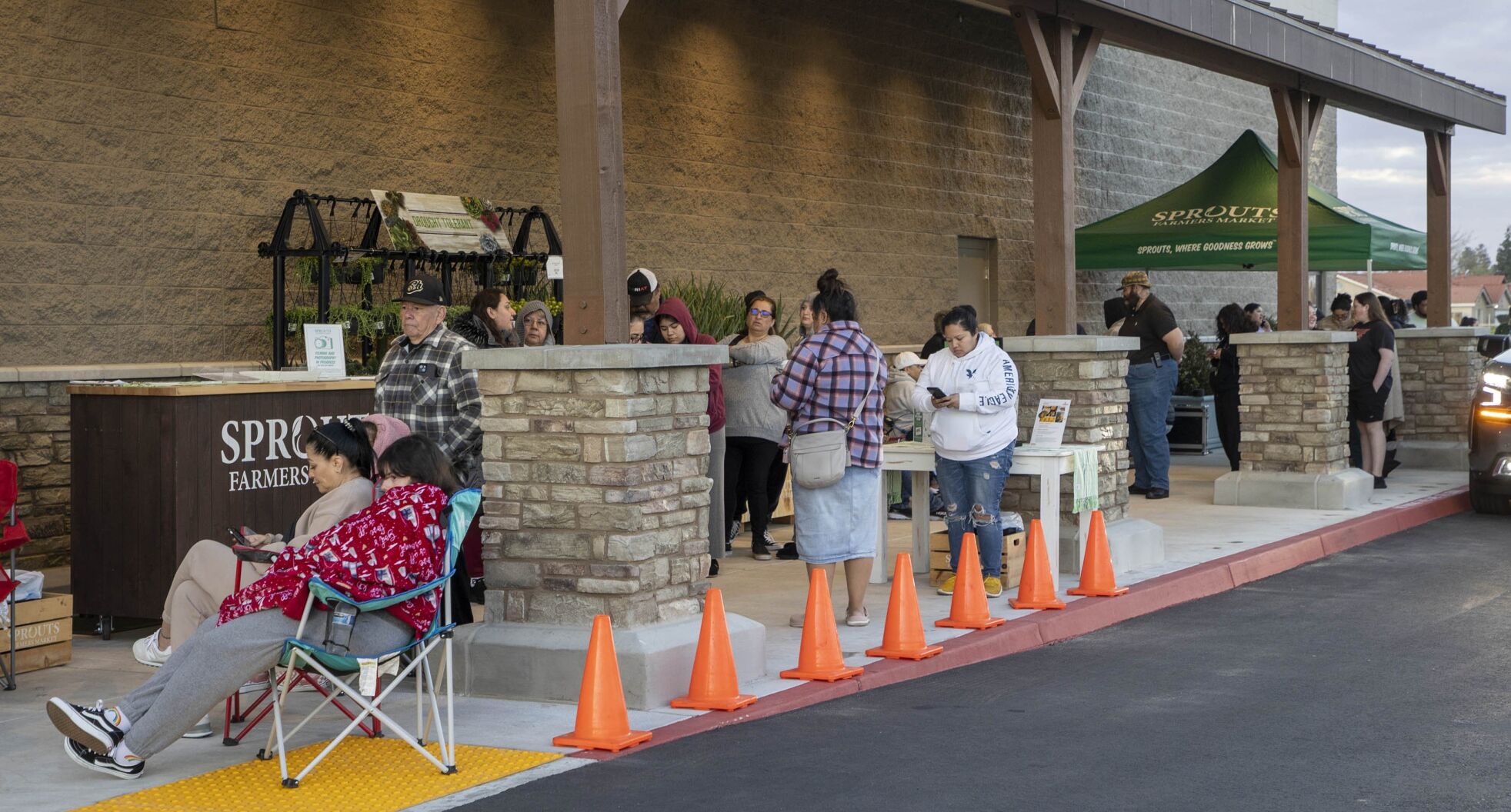 Sprouts7_500031459 Tbc Blox Images