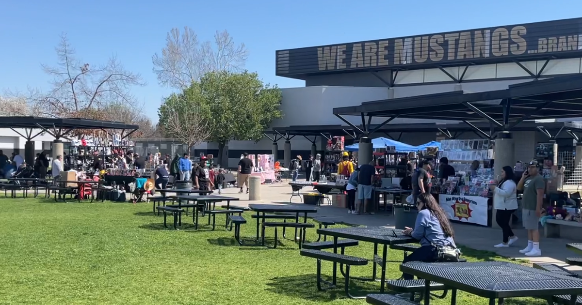 Shop for comics, collectible at Stockdale High show