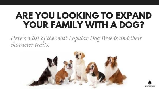 dog family list