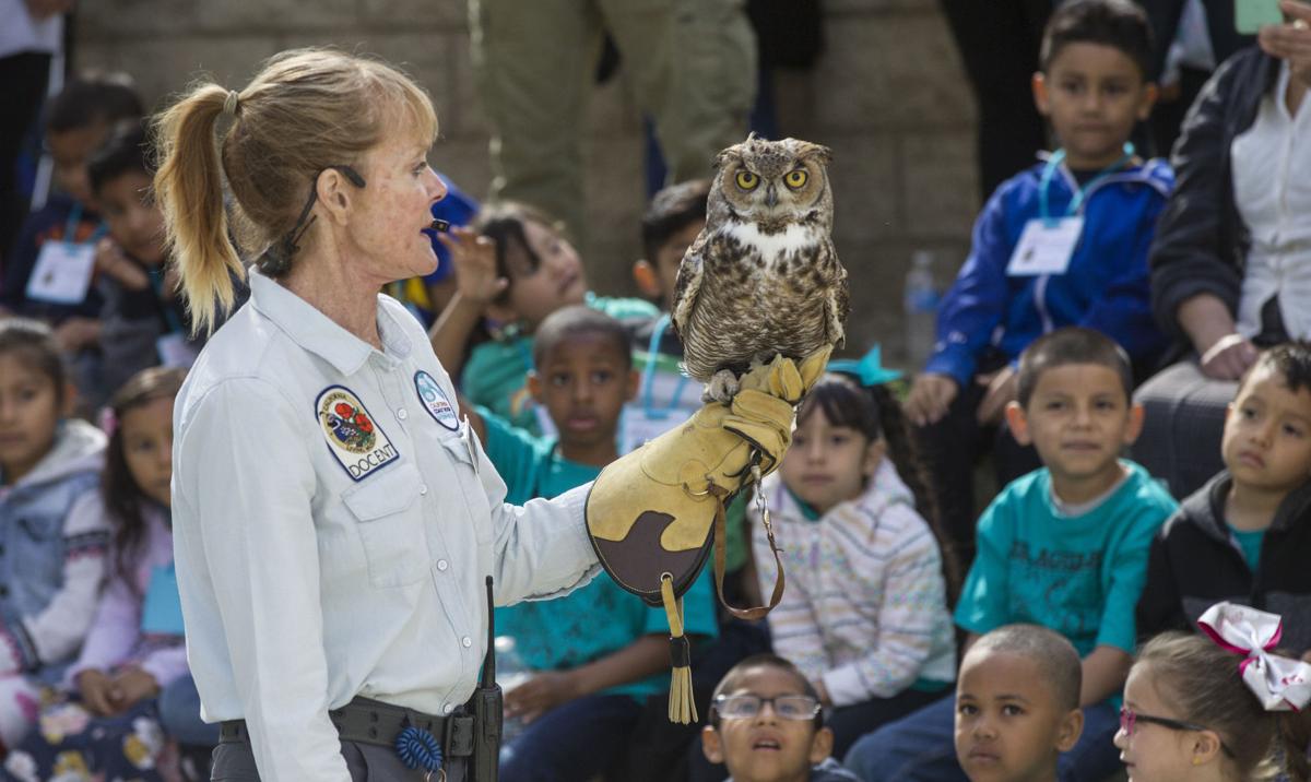 Get Kids Off Couch With These Spring Break Activities