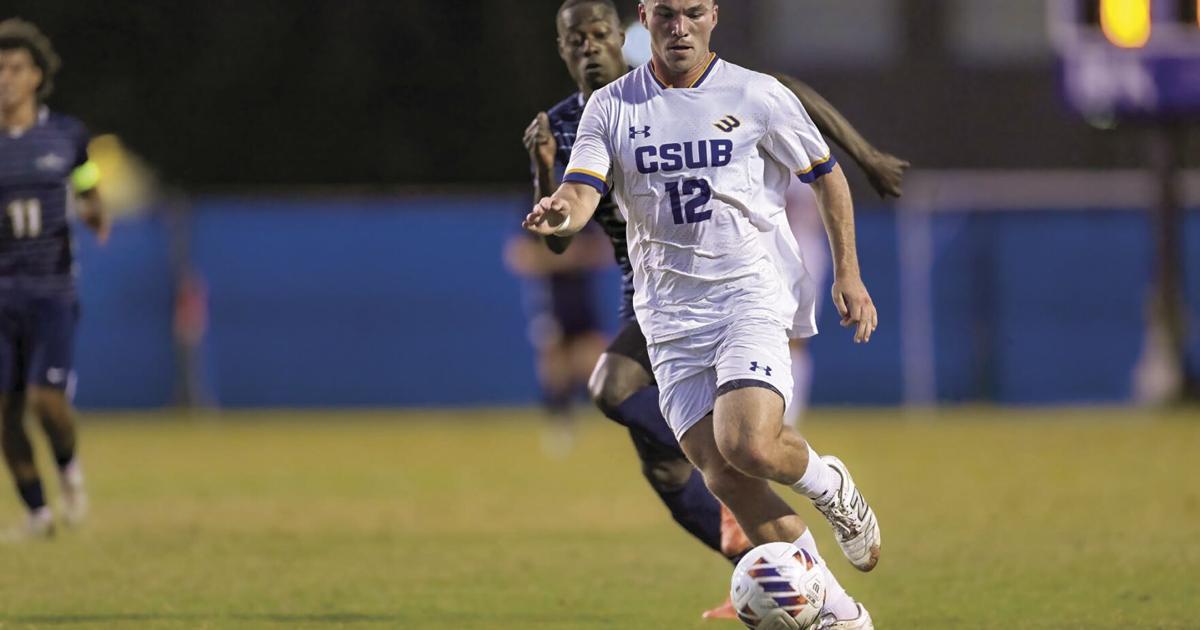 CSUB roundup | College | bakersfield.com