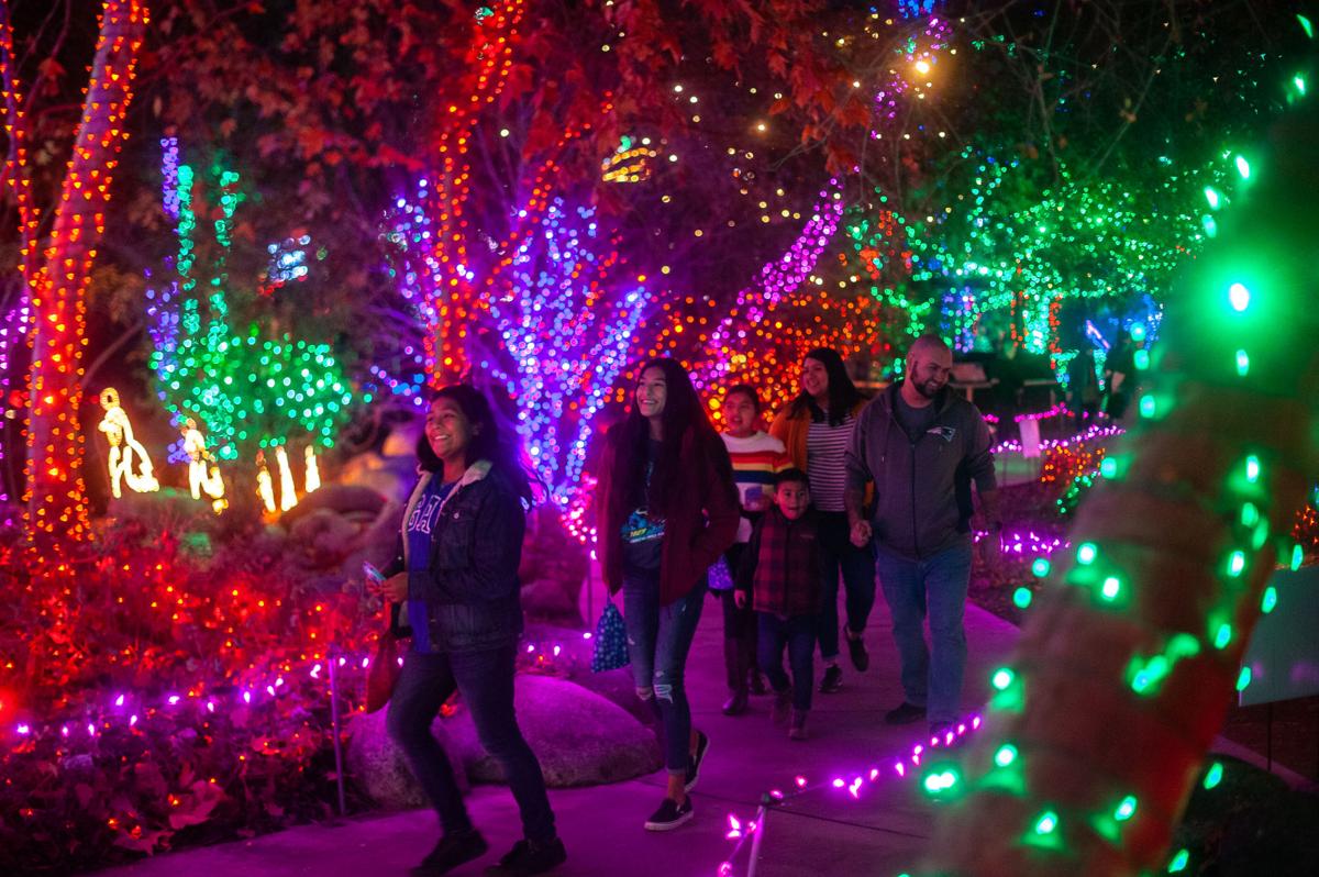 PHOTO GALLERY HolidayLights at CALM Photo Galleries