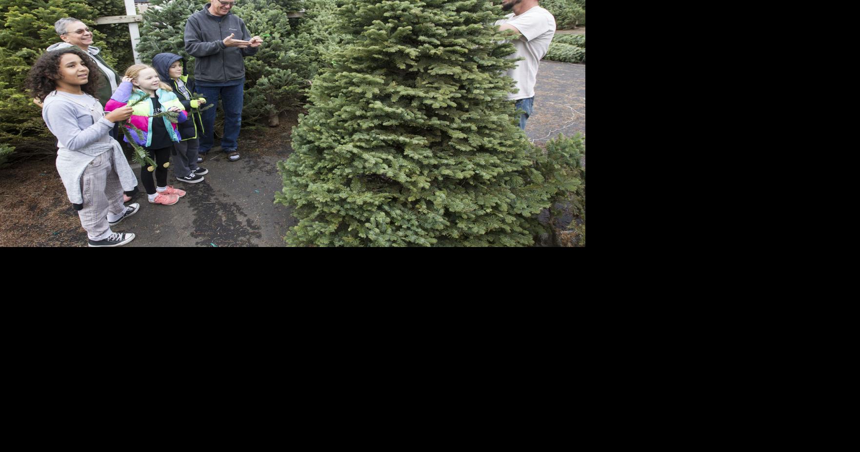 Christmas tree lots see rise in early sales; may sell out sooner than