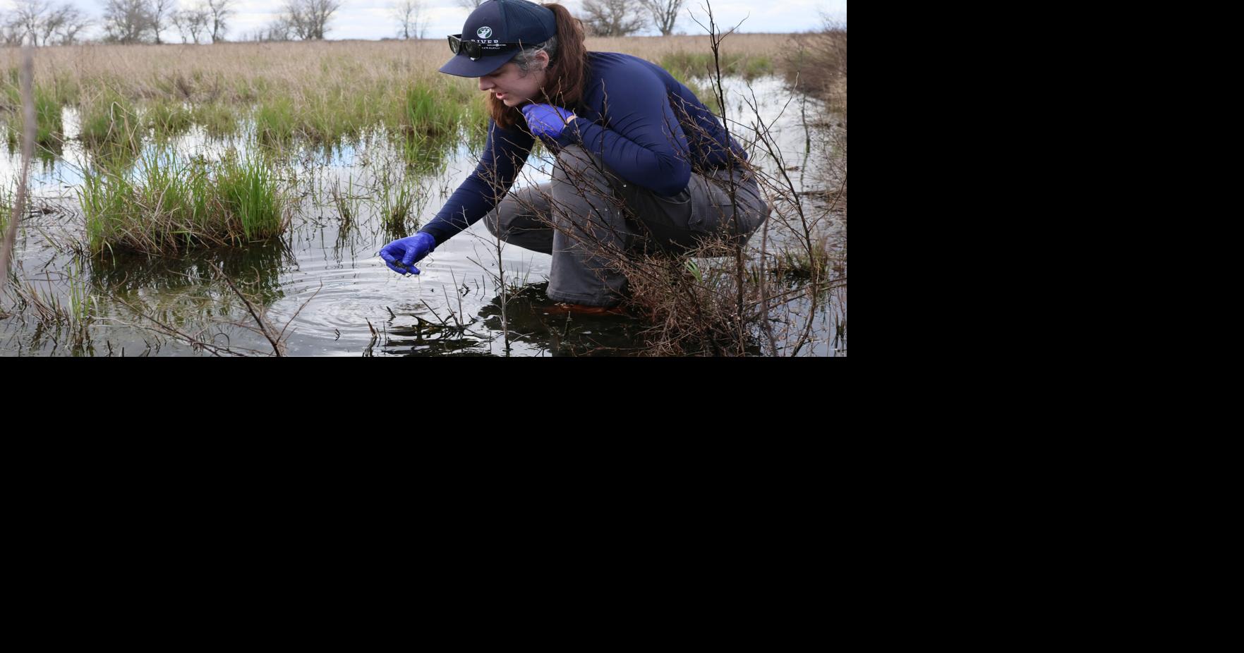 DNA soil analysis: Can AI and science help humans do a better job restoring nature?