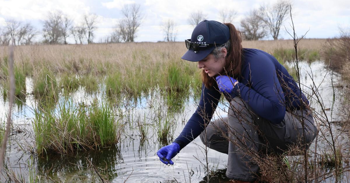 DNA soil analysis: Can AI and science help humans do a better job restoring nature?