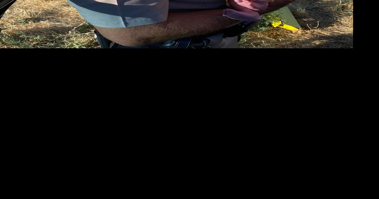 CHP Buttonwillow officers help deliver baby girl News