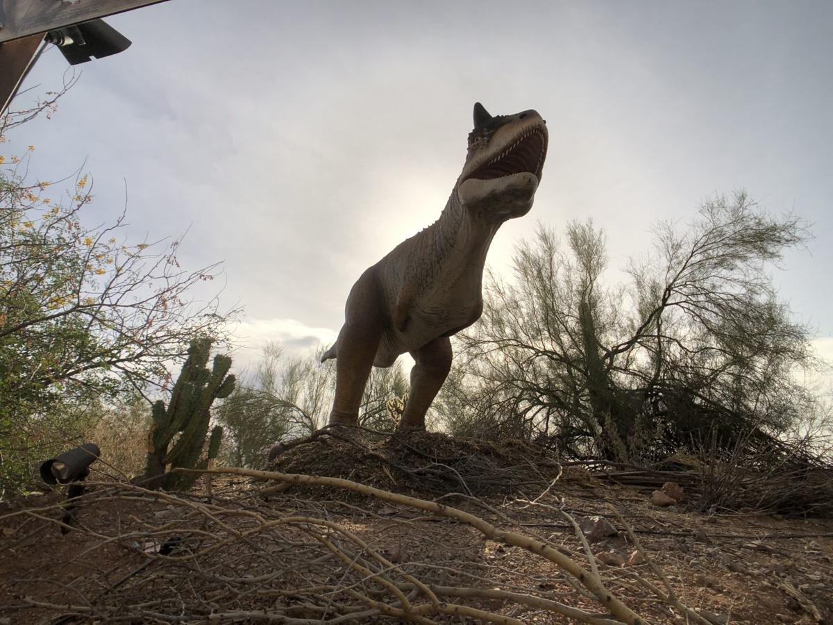 Phoenix Zoo Puts Animals Past And Present On Display Bakersfield Life Bakersfield Com