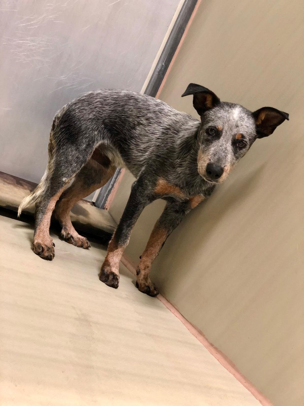 Finn A1117974