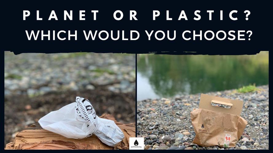 K9Clean.com - Planet or Plastic