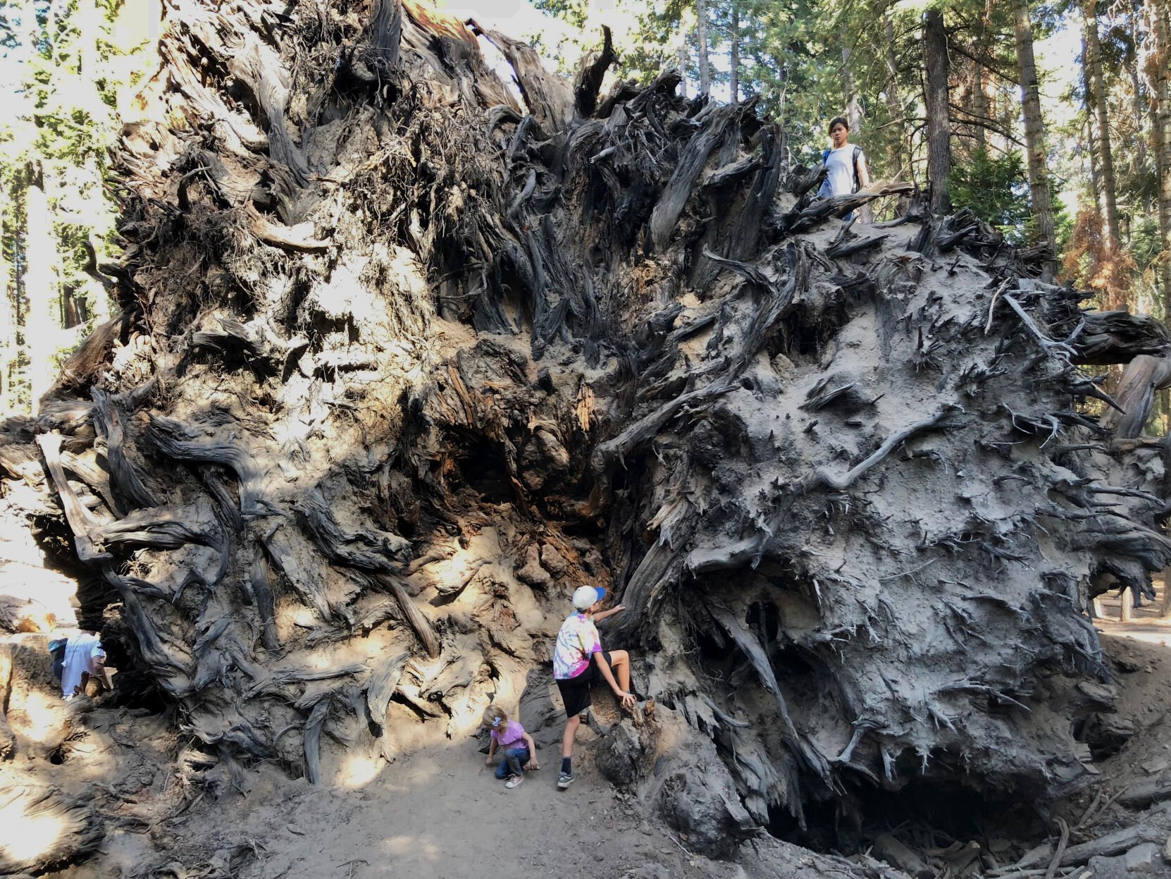 Get out! Check out the best places to camp in Kern County | Bakersfield  Life | bakersfield.com