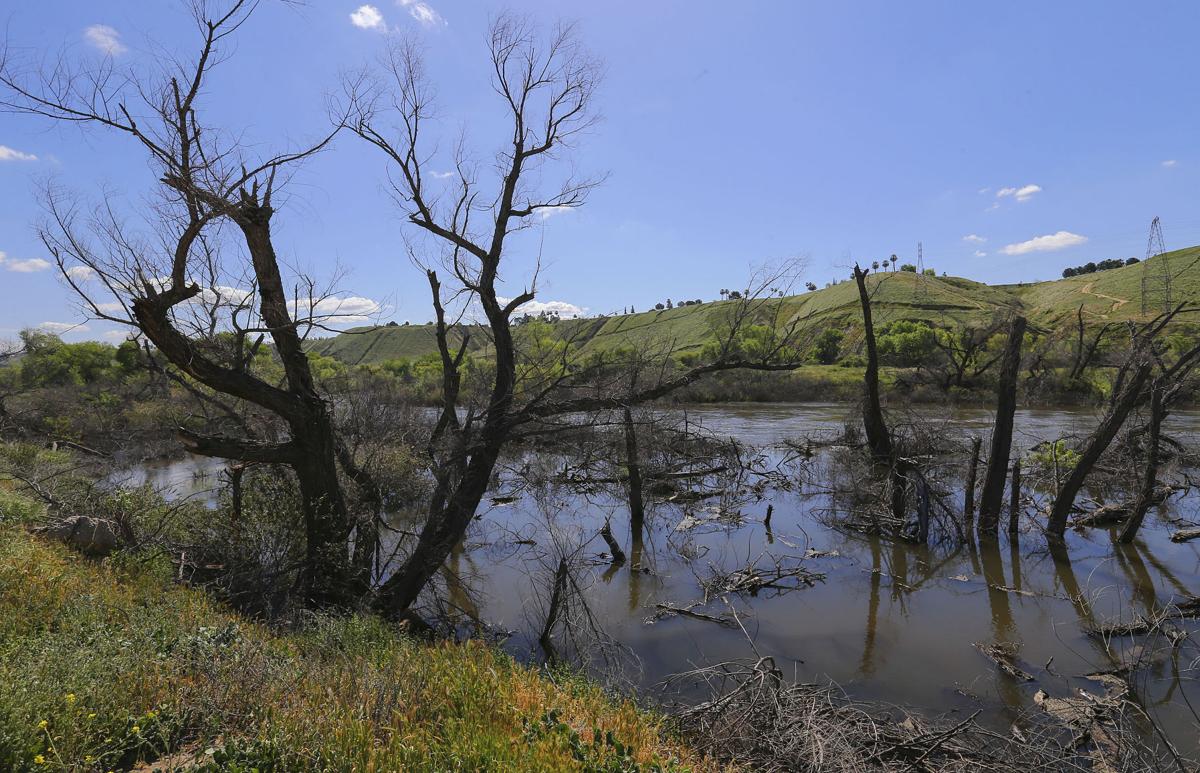 Photo Gallery: Panorama Vista Preserve | Herb Benham ...