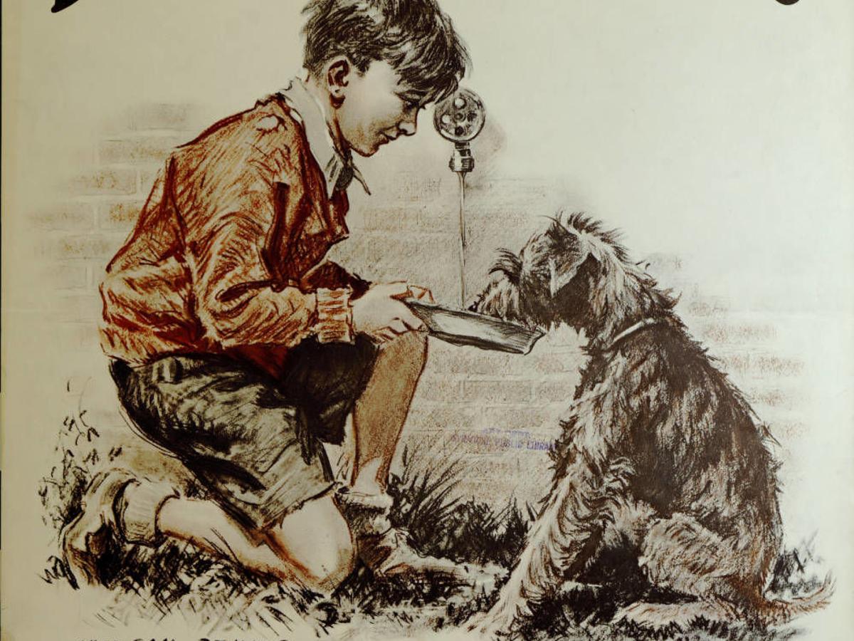 HISTORY: Be Kind to Animals Week: Celebrating Bakersfield's faithful  companions | Bakersfield Life 