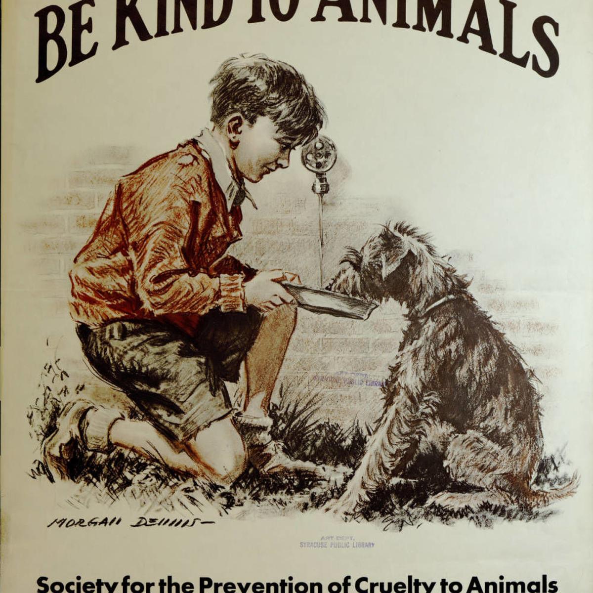 HISTORY: Be Kind to Animals Week: Celebrating Bakersfield's faithful  companions | Bakersfield Life 