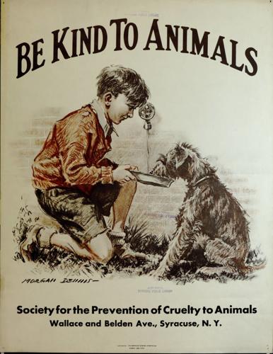 paragraph on be kind to animals