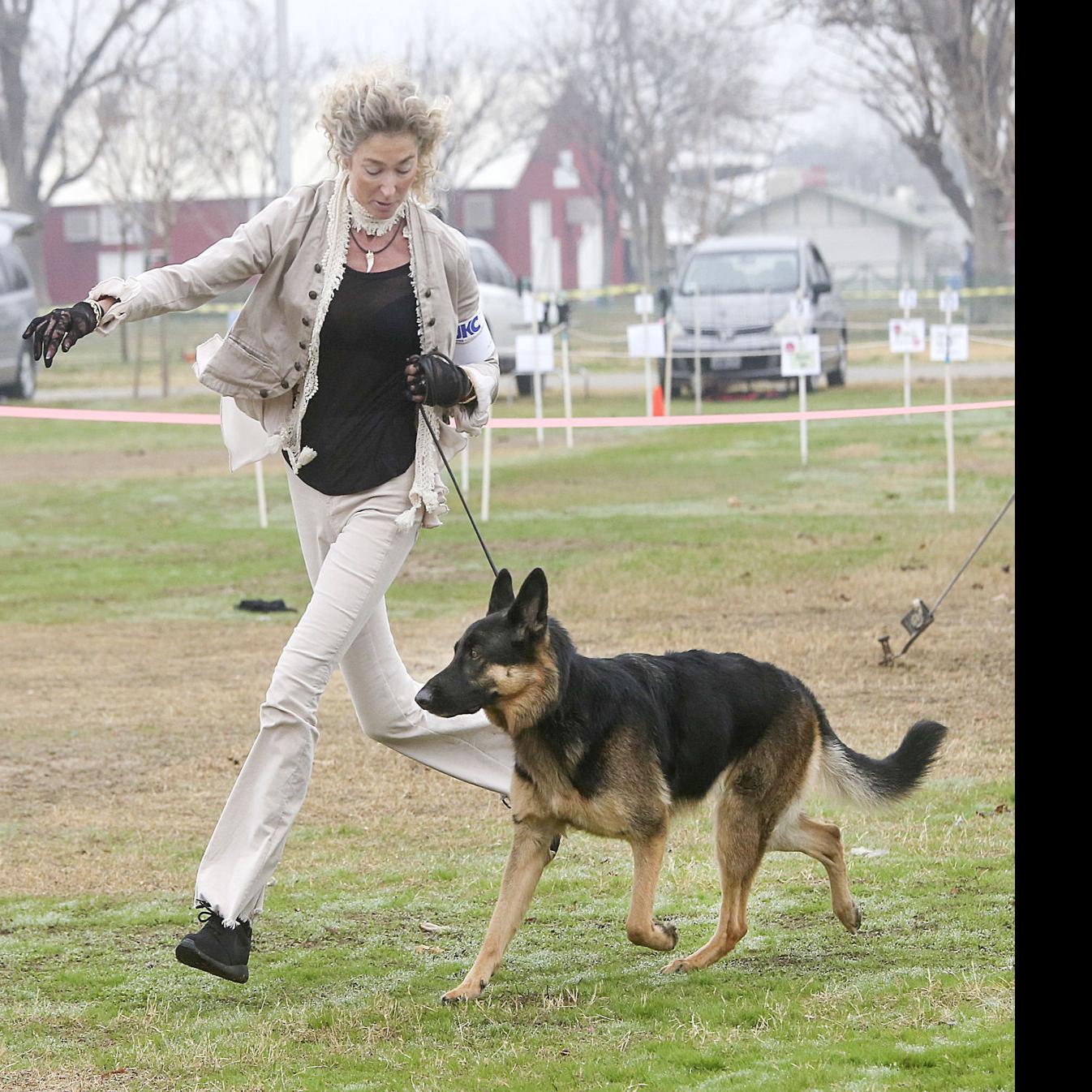 Fairgrounds Host California Classic Dog Show News Bakersfield Com