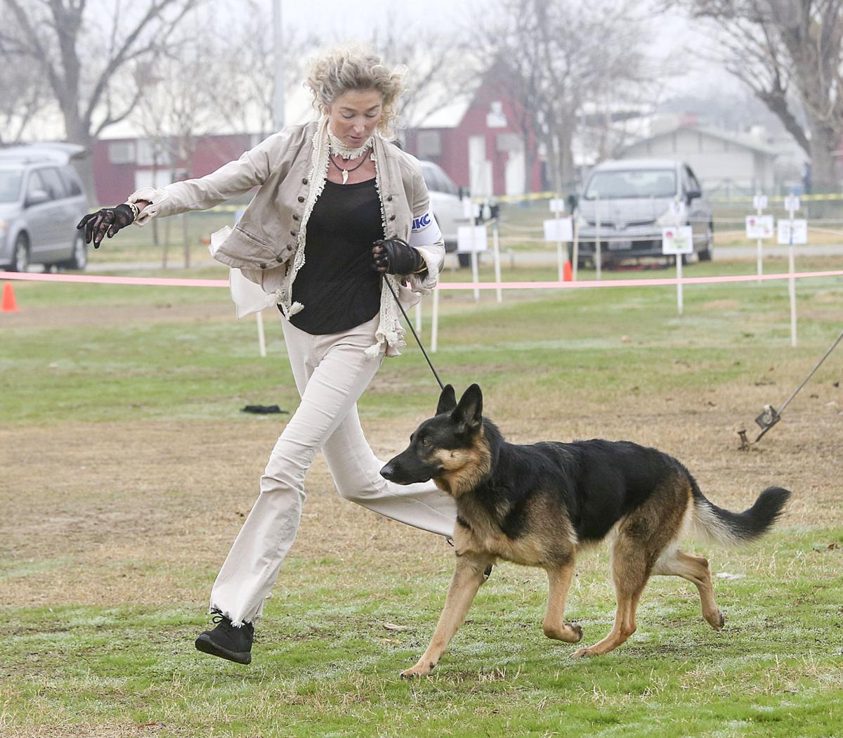 Dog Show Bakersfield Fairgrounds Dog Show Bakersfield Fairgrounds