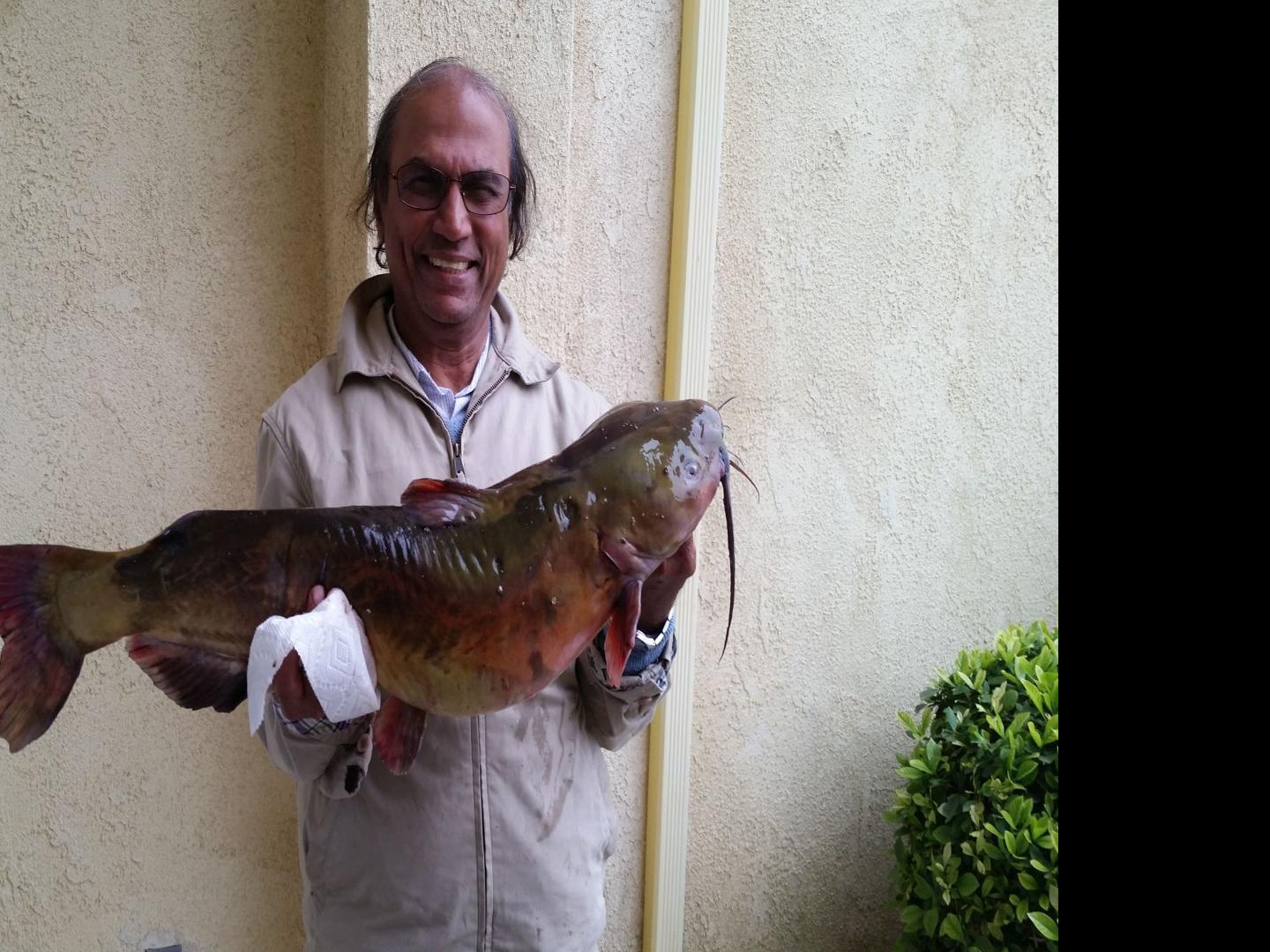 Fishing Report For May 19 Sports Bakersfield Com