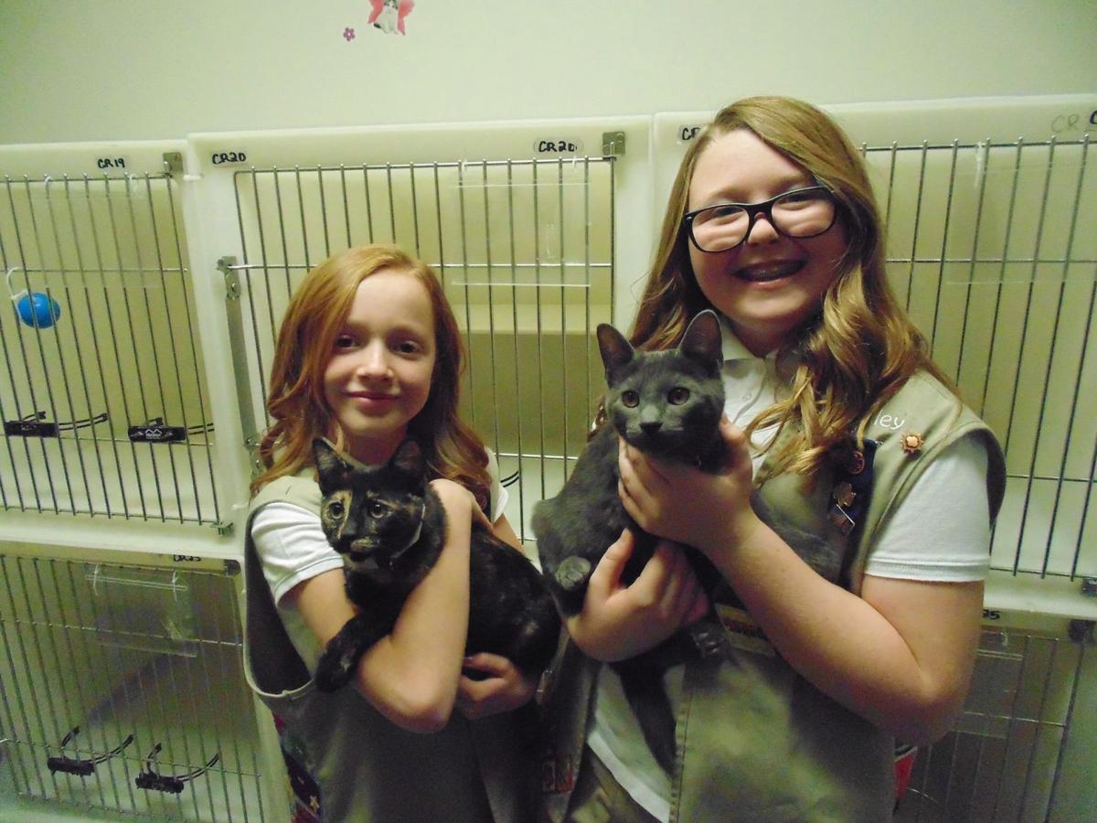 Local Girls Scouts helping save one pet at a time News