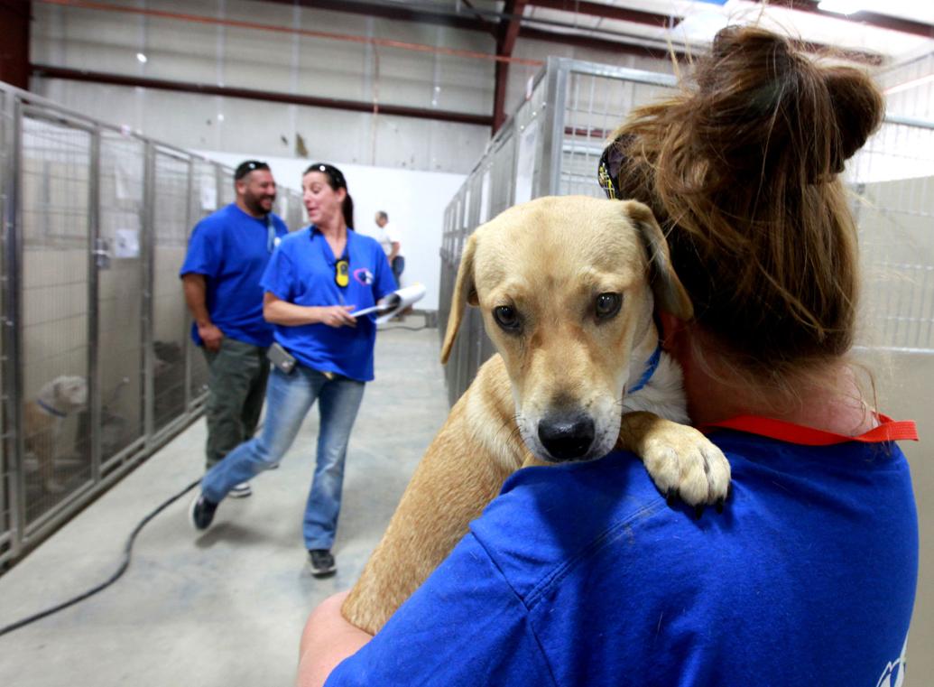 Shelter costs rise, but neither city nor county is howling yet News