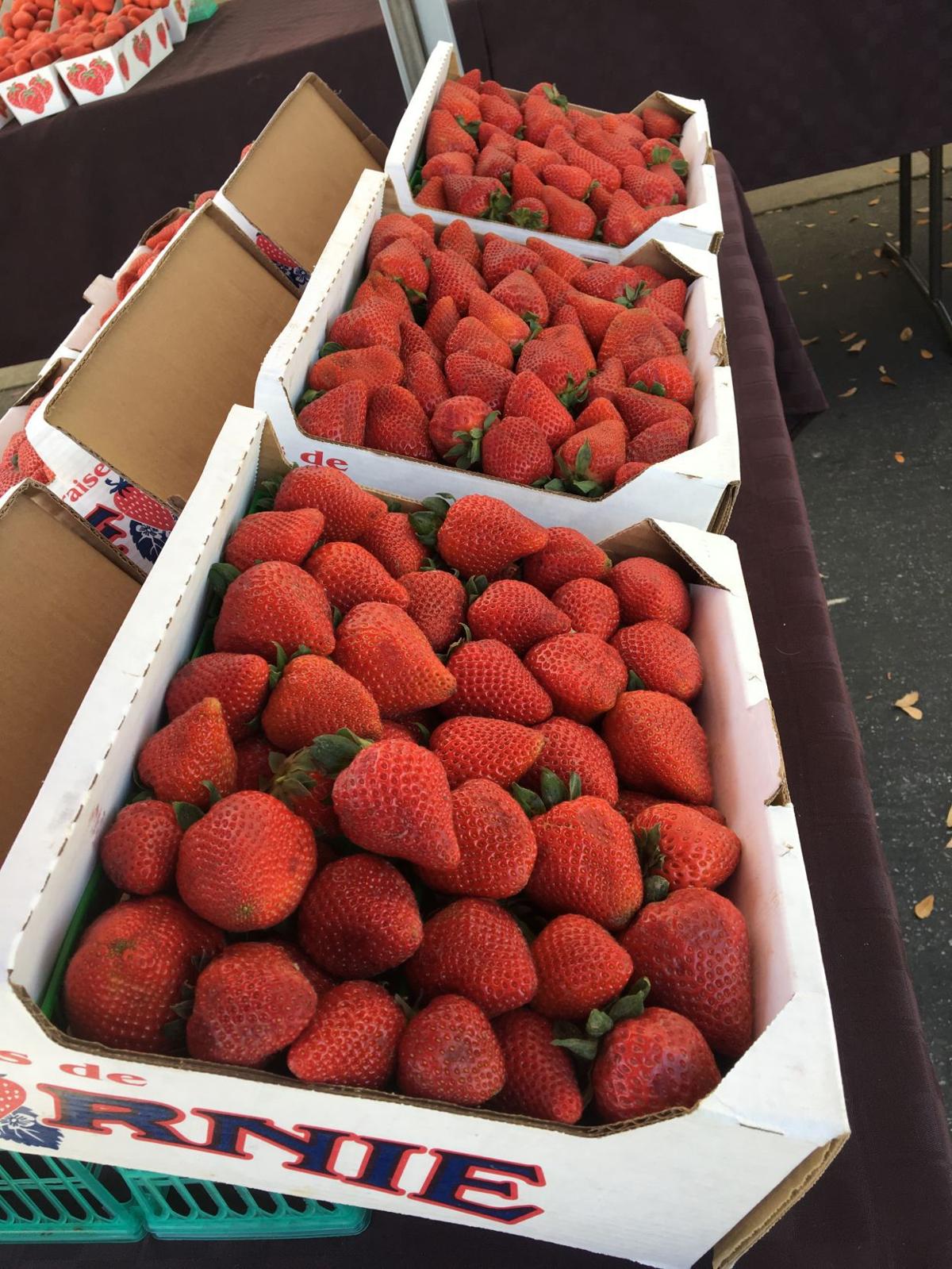 Haggin Oaks farmers market Food