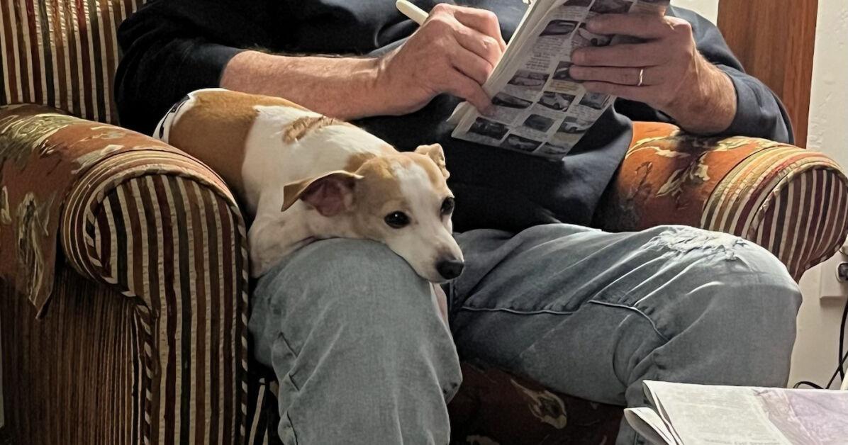 The pets of summer: Dickey