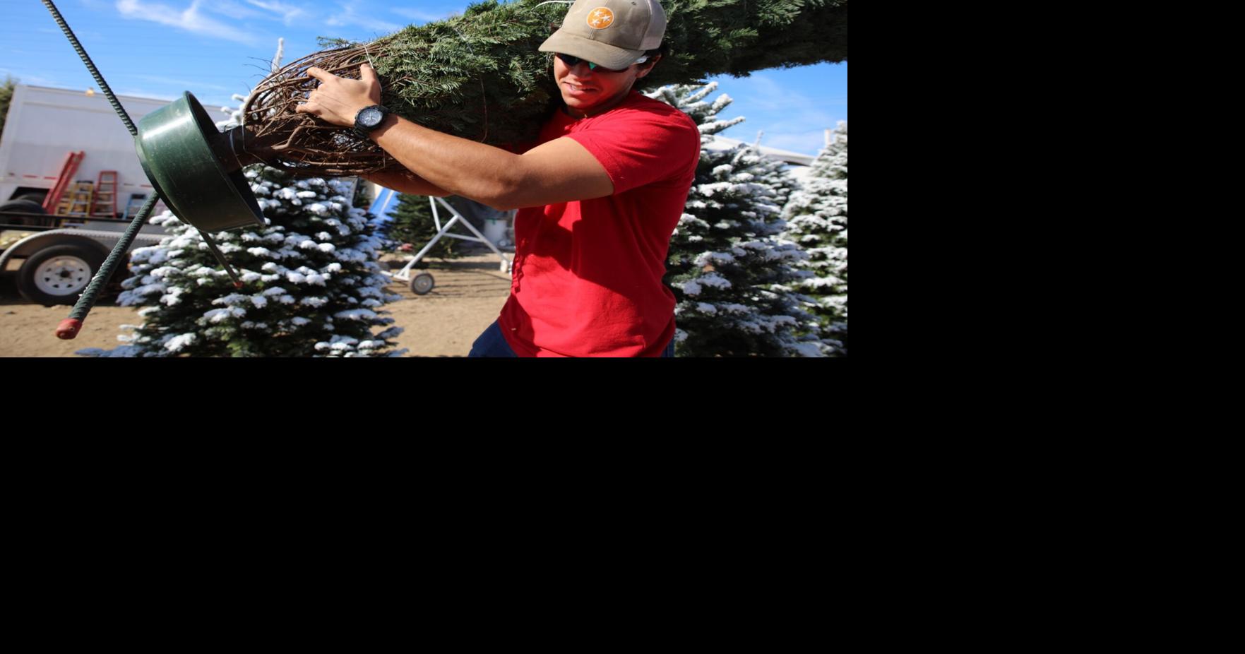 Workers make extra for Christmas at the tree lots News