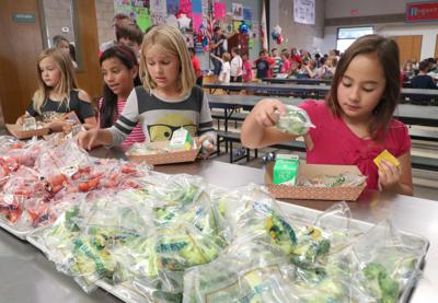 Rosedale Union School District Plans To Give Families Choice Of Preferred Instruction Model In Fall News Bakersfield Com